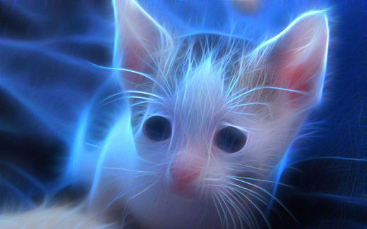 925657 (a): :1920x1200